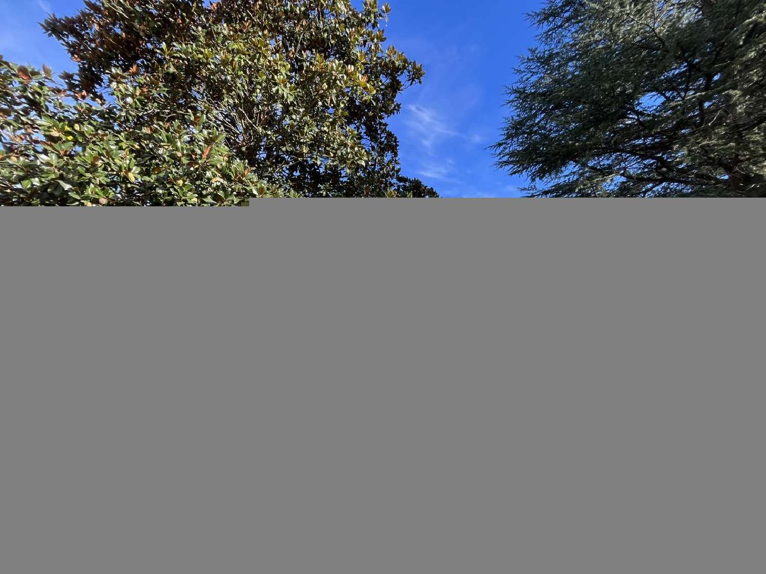  à vendre maison Tarascon-sur-Ariège Ariège 2