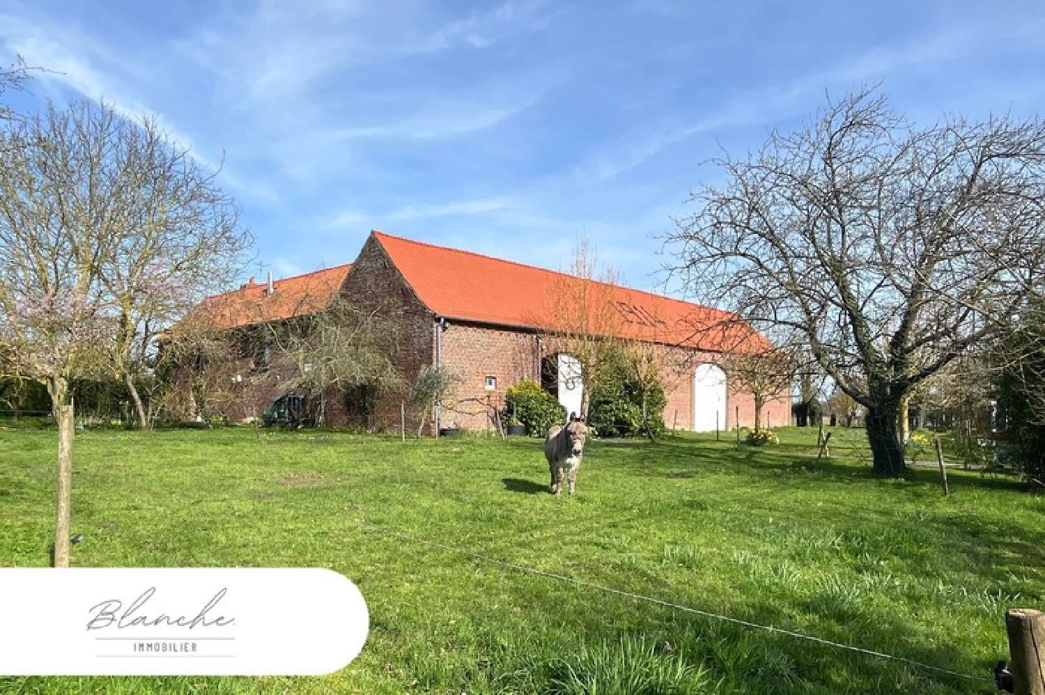 kaufen Haus Templeuve Nord 2