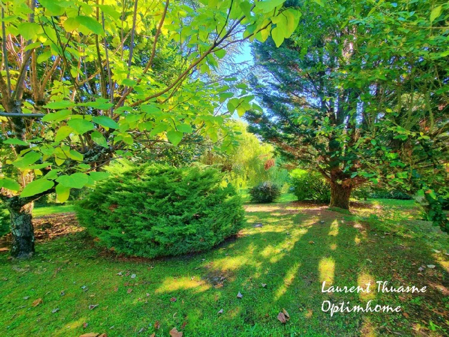  te koop huis Thenon Dordogne 7