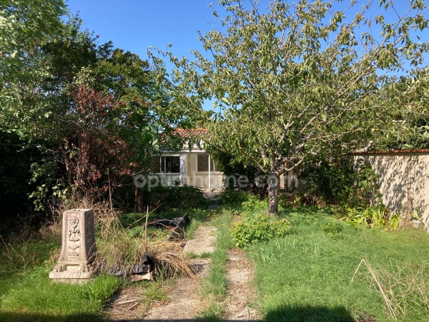 for sale house Toulouse 31300 Haute-Garonne 2