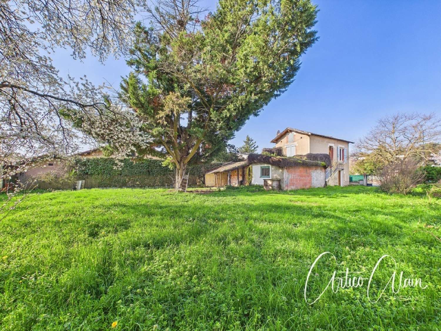 en venta casa Toulouse 31400 Haute-Garonne 2