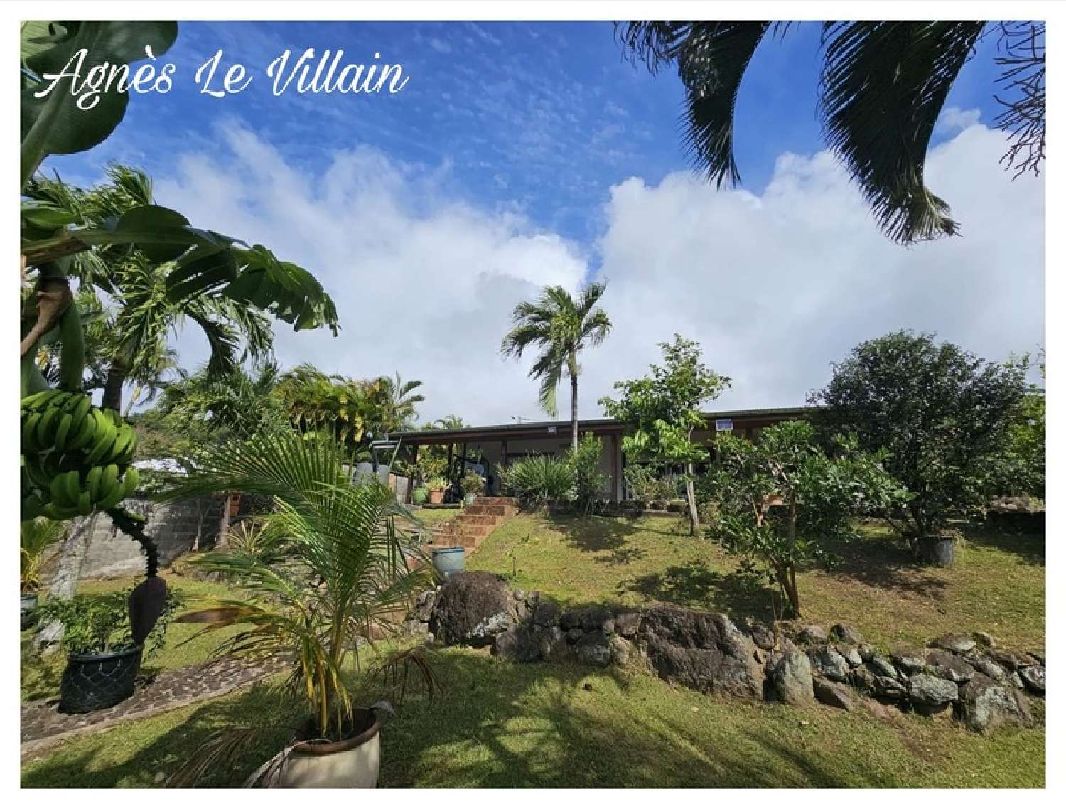  for sale house Trois-Rivières Guadeloupe 2