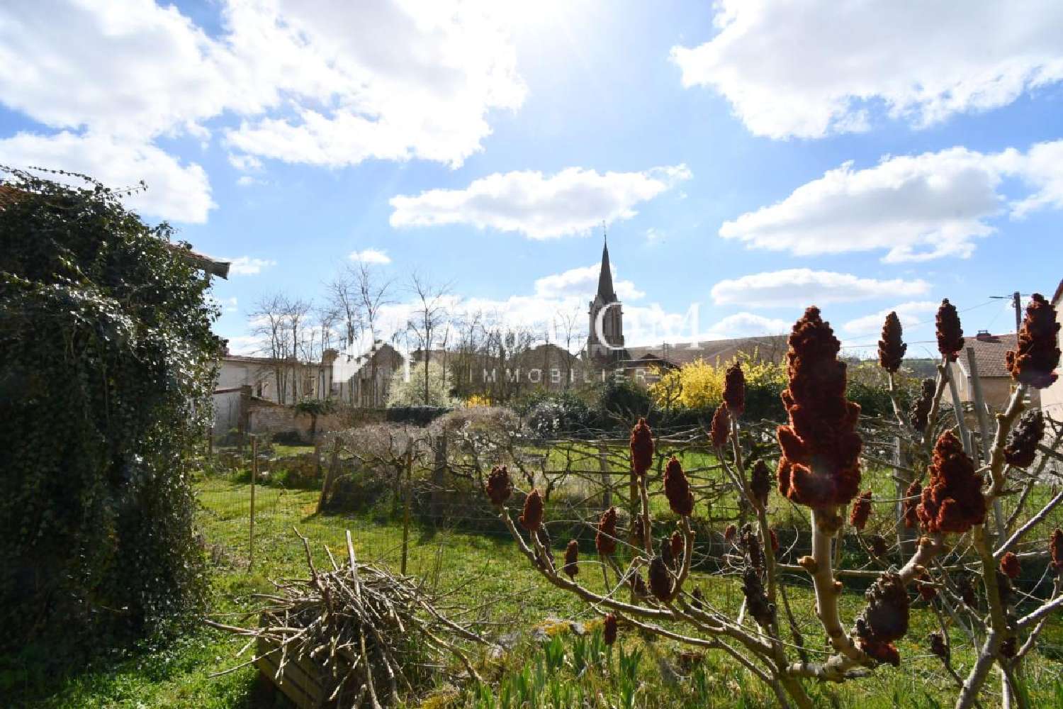  à vendre maison Uruffe Meurthe-et-Moselle 1