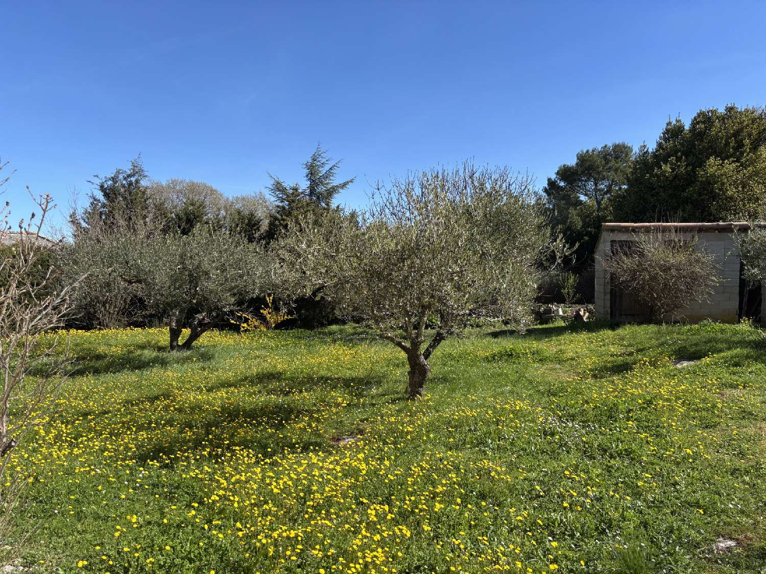 à vendre maison Uzès Gard 4