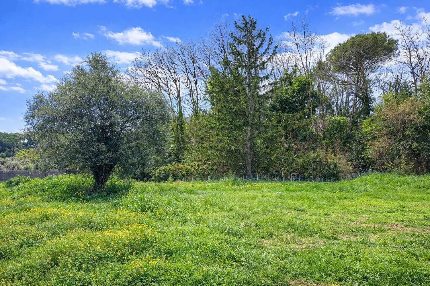 kaufen Haus Valbonne Alpes-Maritimes 2