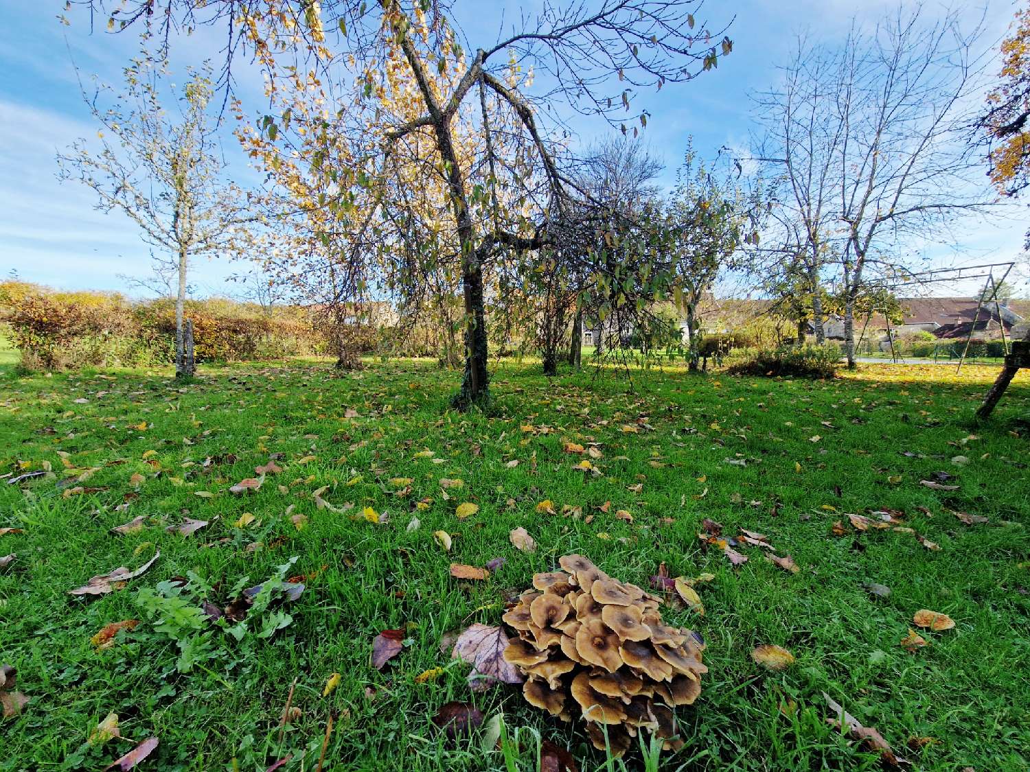  for sale house Varennes-sur-Amance Haute-Marne 2