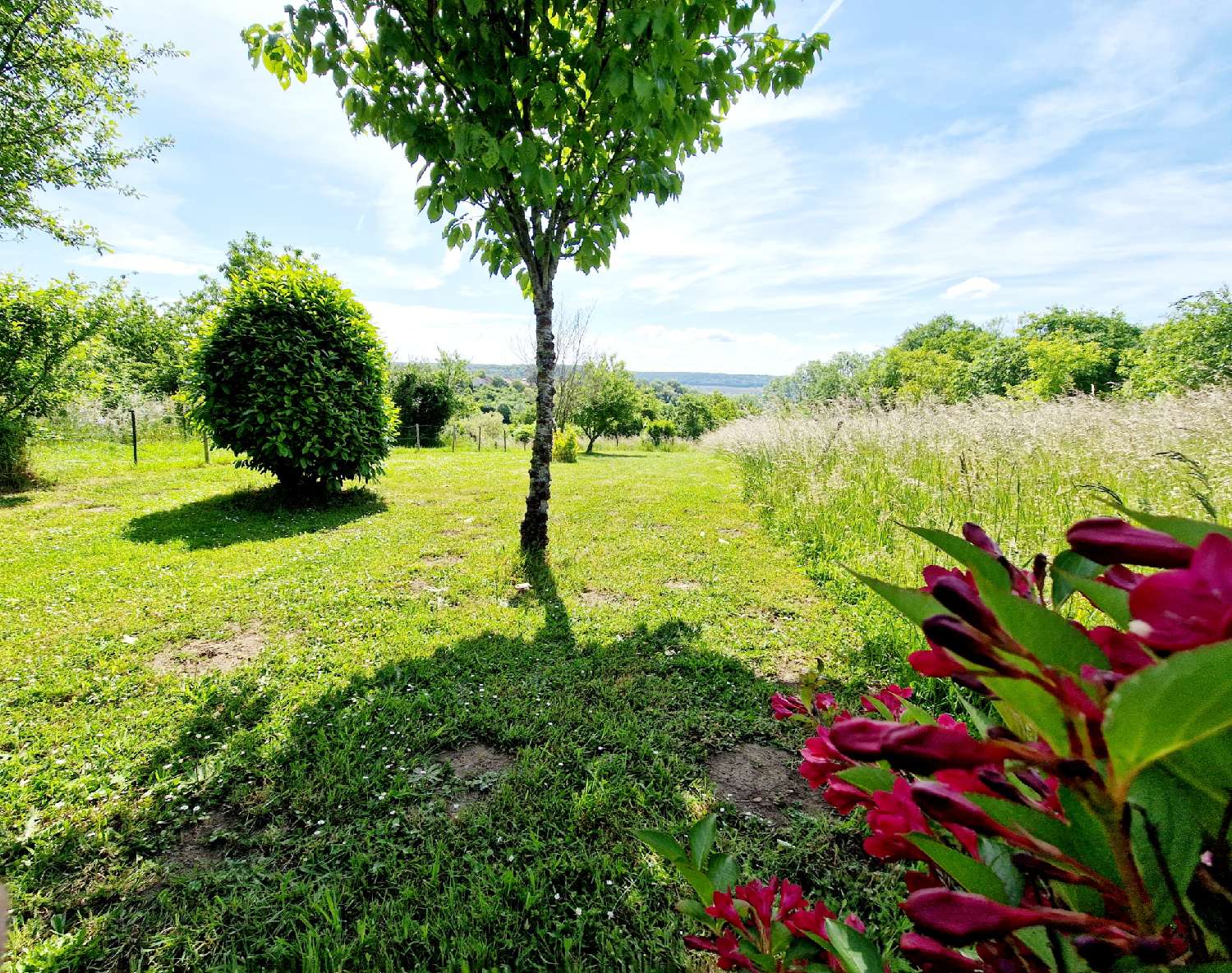  à vendre maison Varennes-sur-Amance Haute-Marne 3