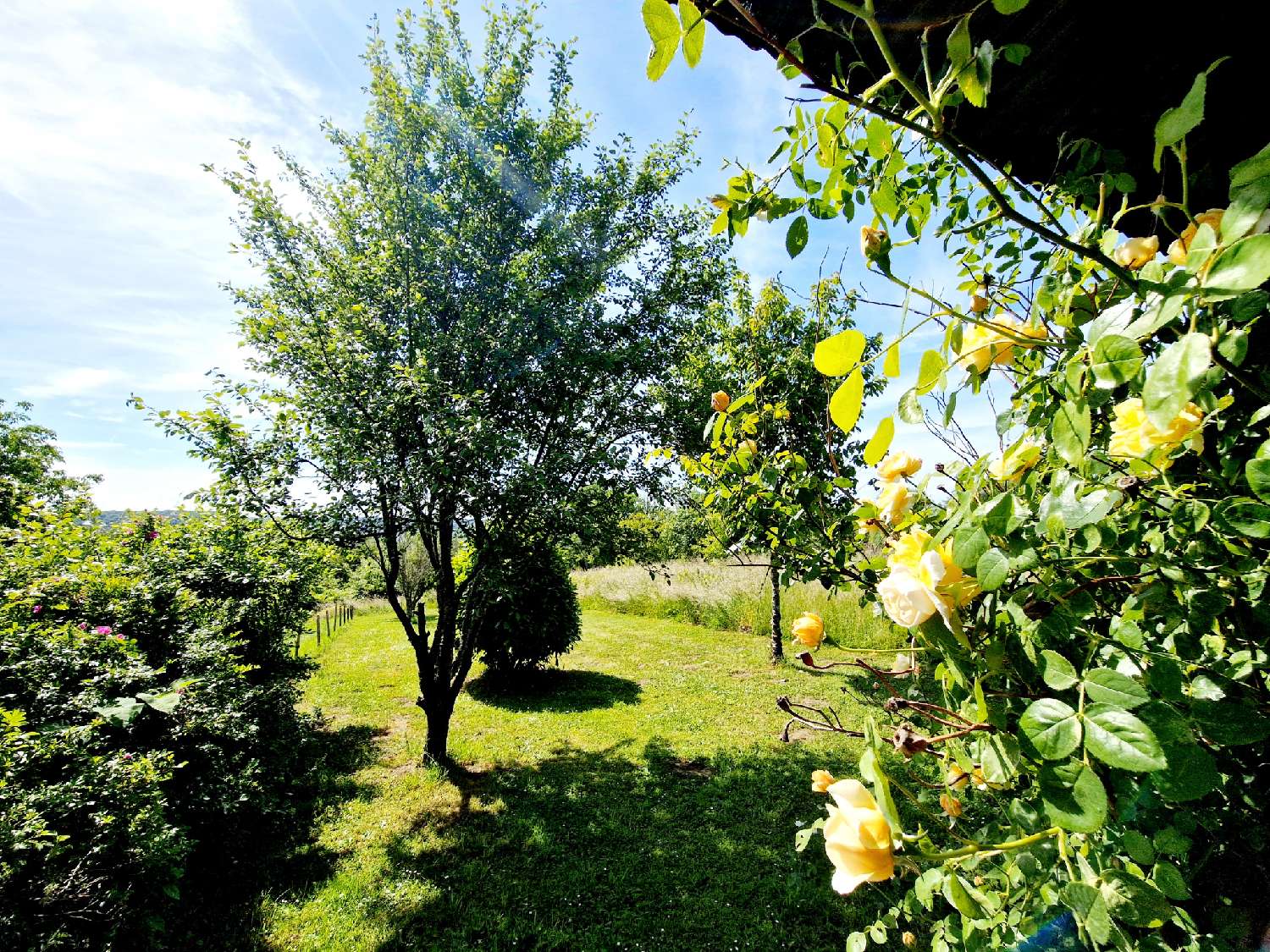  à vendre maison Varennes-sur-Amance Haute-Marne 6