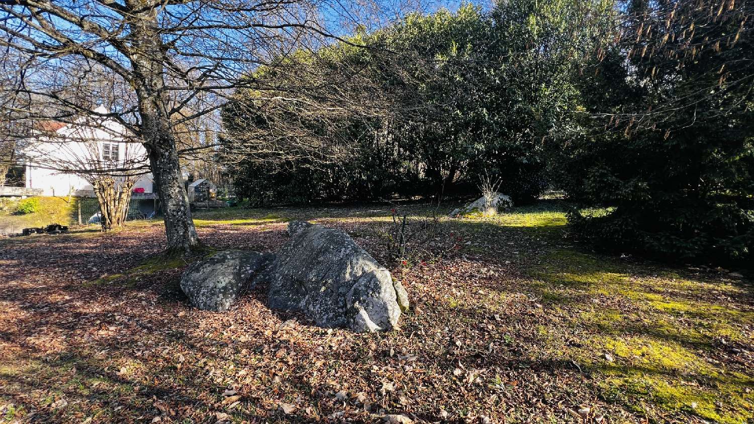  à vendre maison Vayres-sur-Essonne Essonne 7