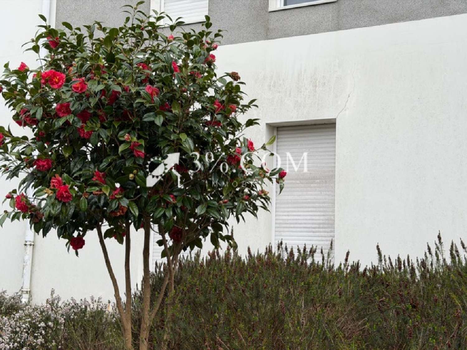  for sale house Vertou Loire-Atlantique 3