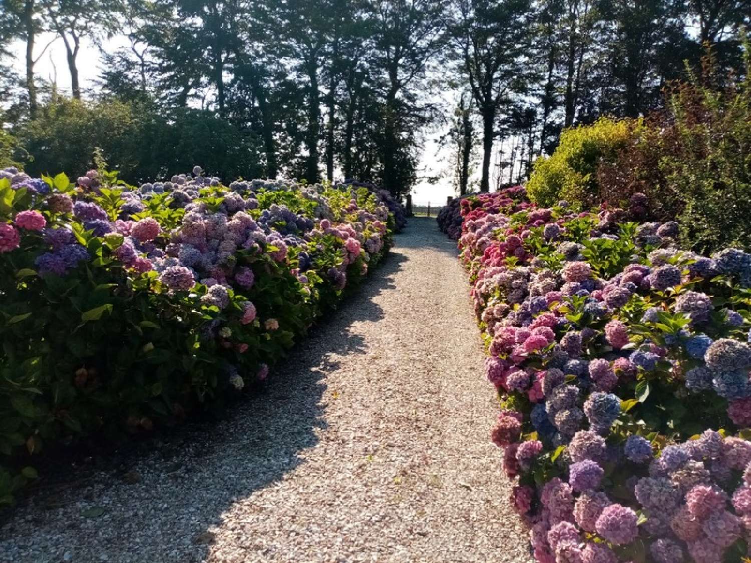 for sale house Veules-les-Roses Seine-Maritime 5