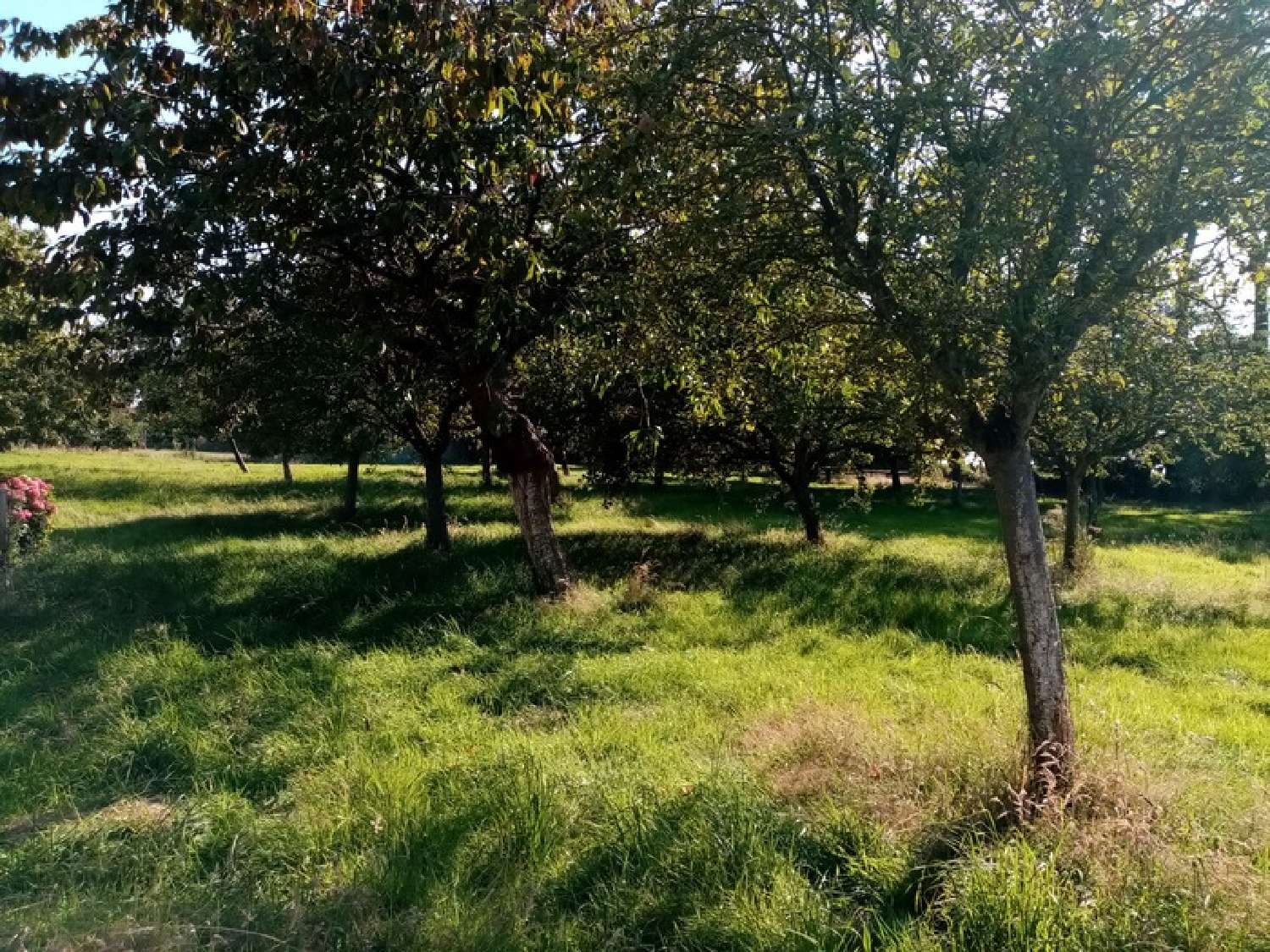 for sale house Veules-les-Roses Seine-Maritime 6