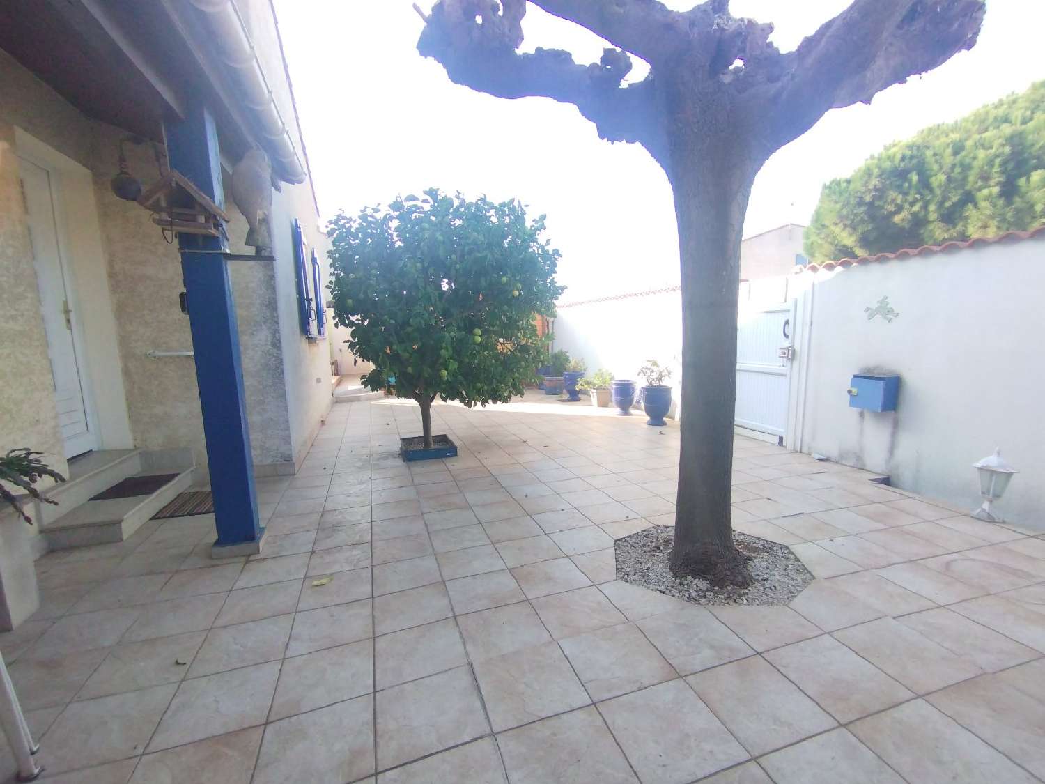  en venta casa Vias Hérault 2