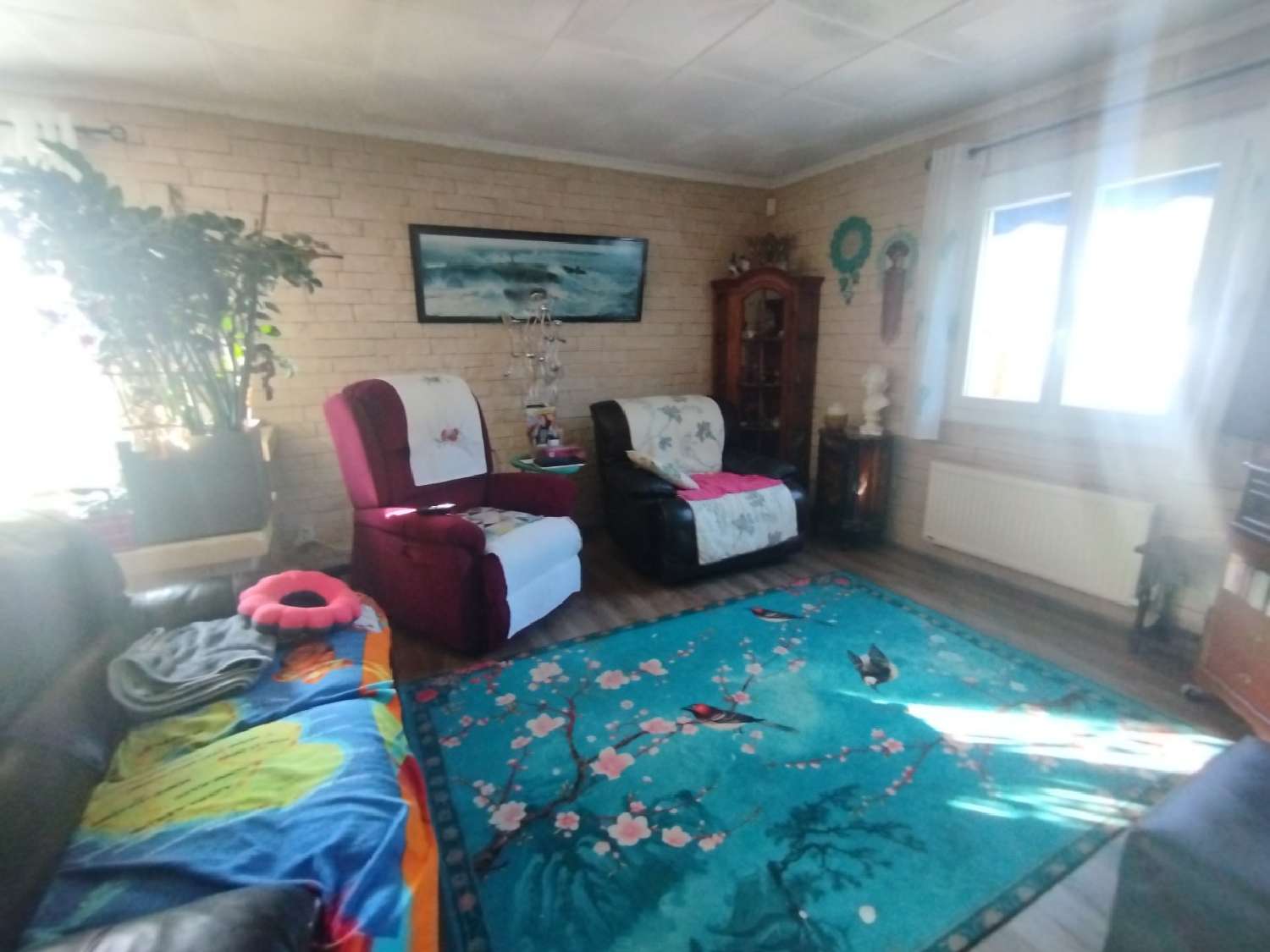  en venta casa Vias Hérault 6