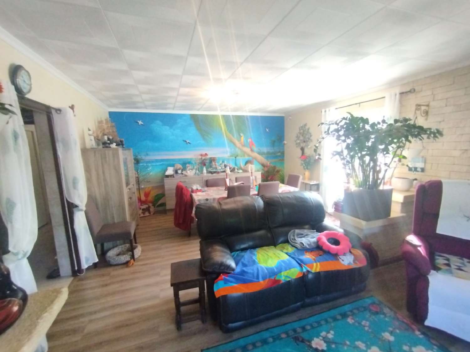  en venta casa Vias Hérault 7