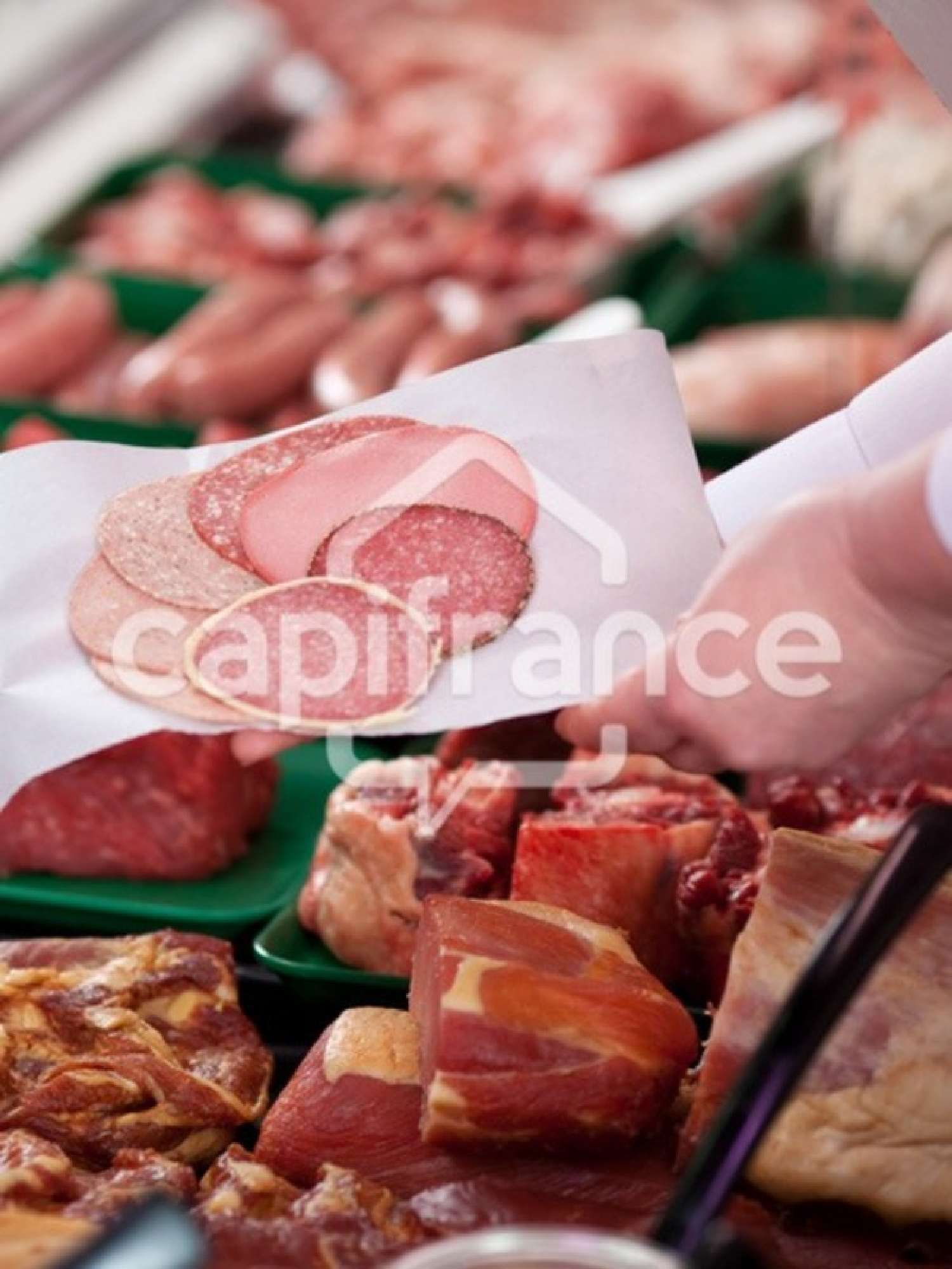  te koop huis Villard-Bonnot Isère 1