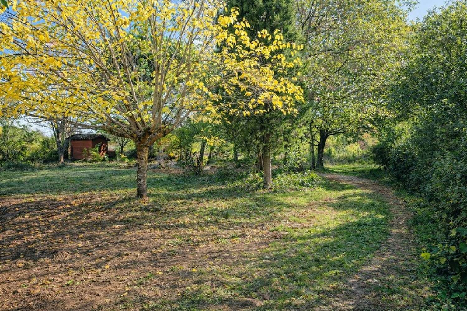  for sale house Villaudric Haute-Garonne 2