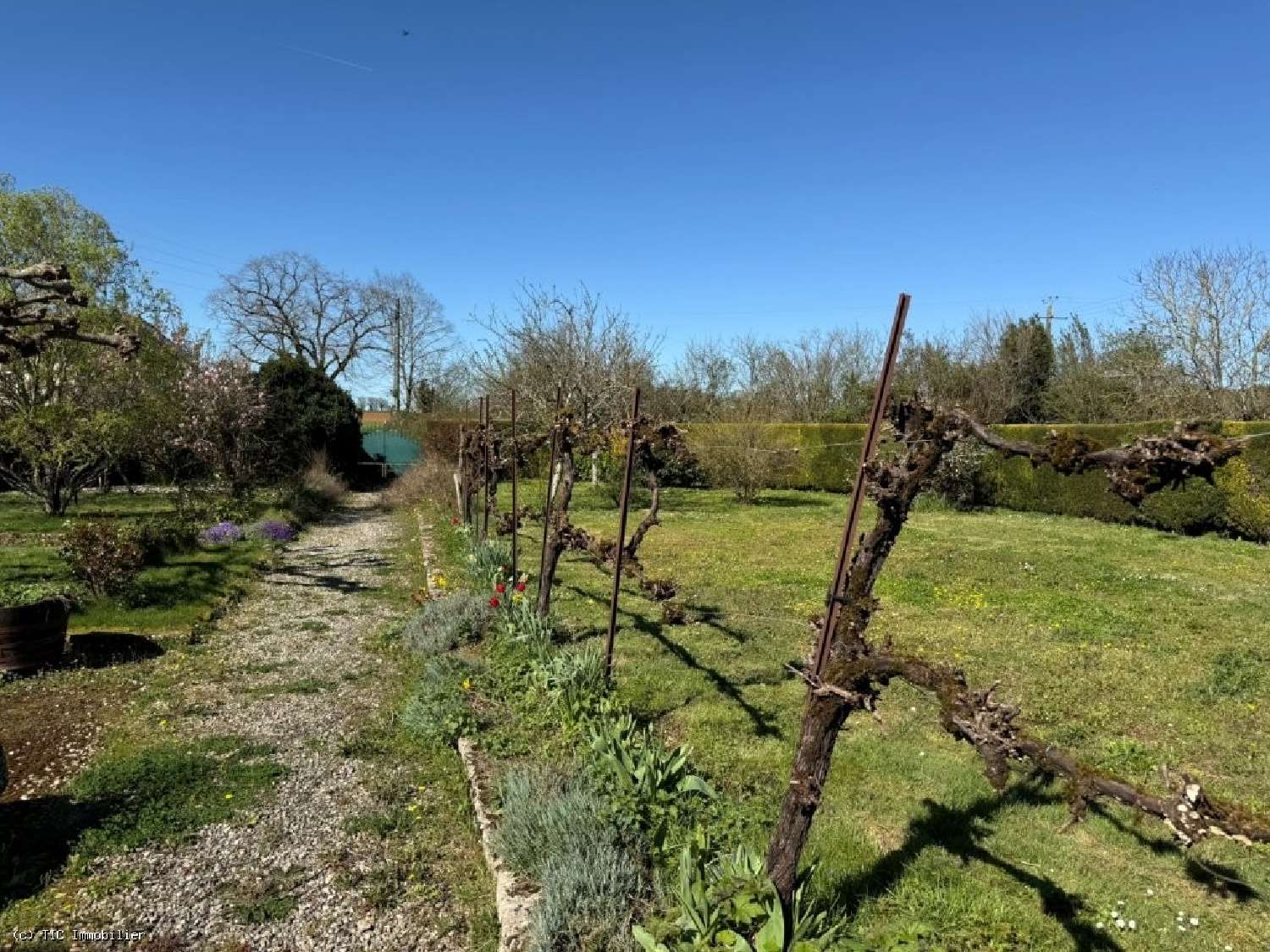  te koop huis Villefagnan Charente 6