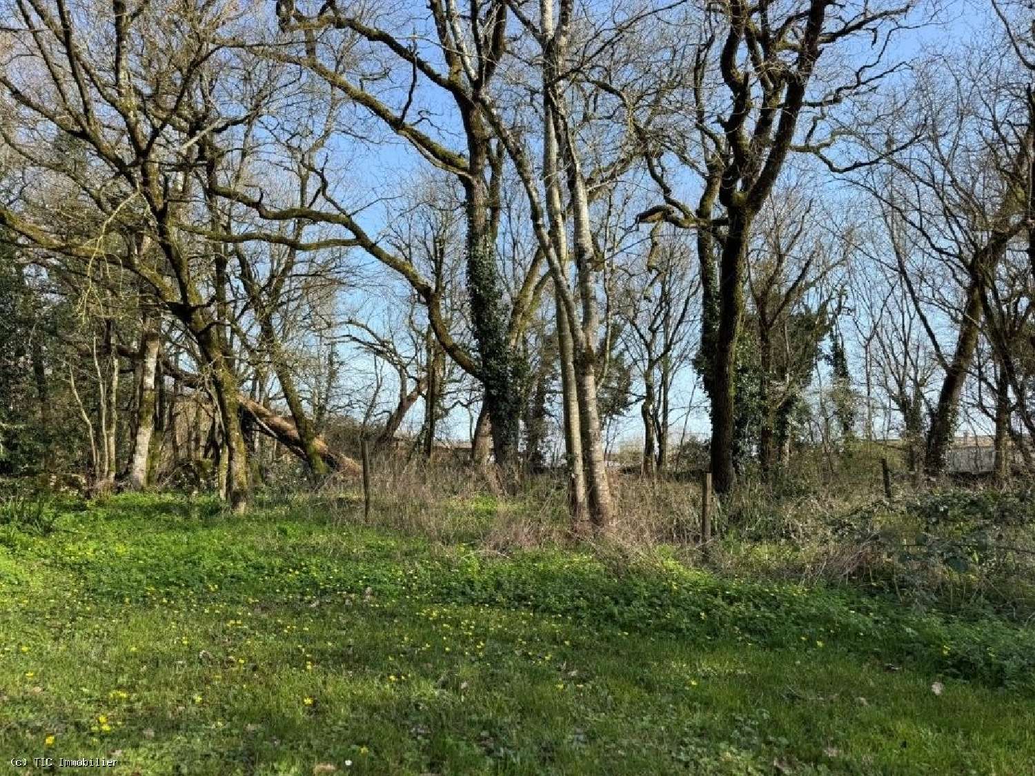  à vendre maison Villefagnan Charente 5