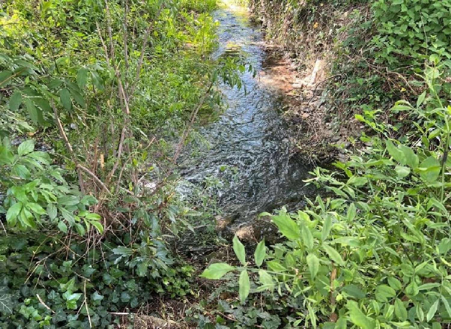  kaufen Haus Villefagnan Charente 4