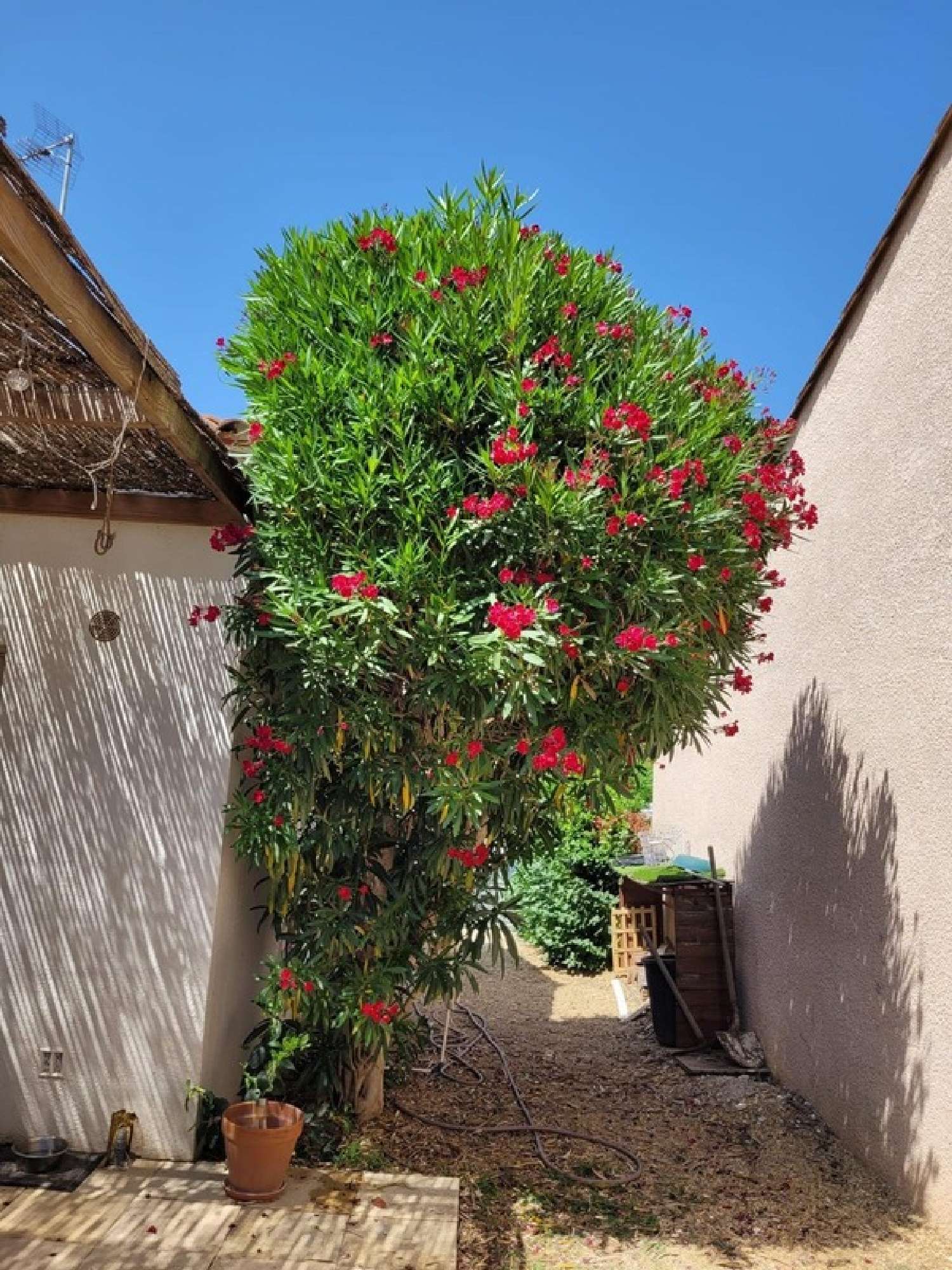 à vendre maison Villeneuve-lès-Maguelone Hérault 8