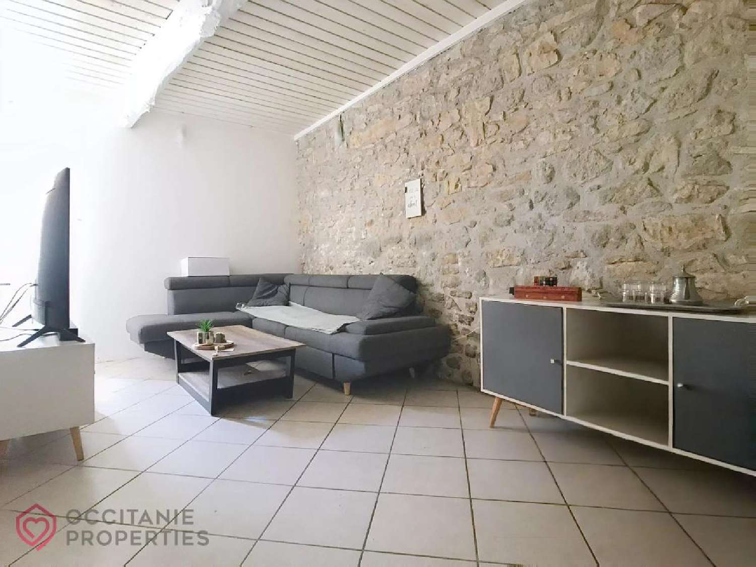  te koop huis Villesequelande Aude 2
