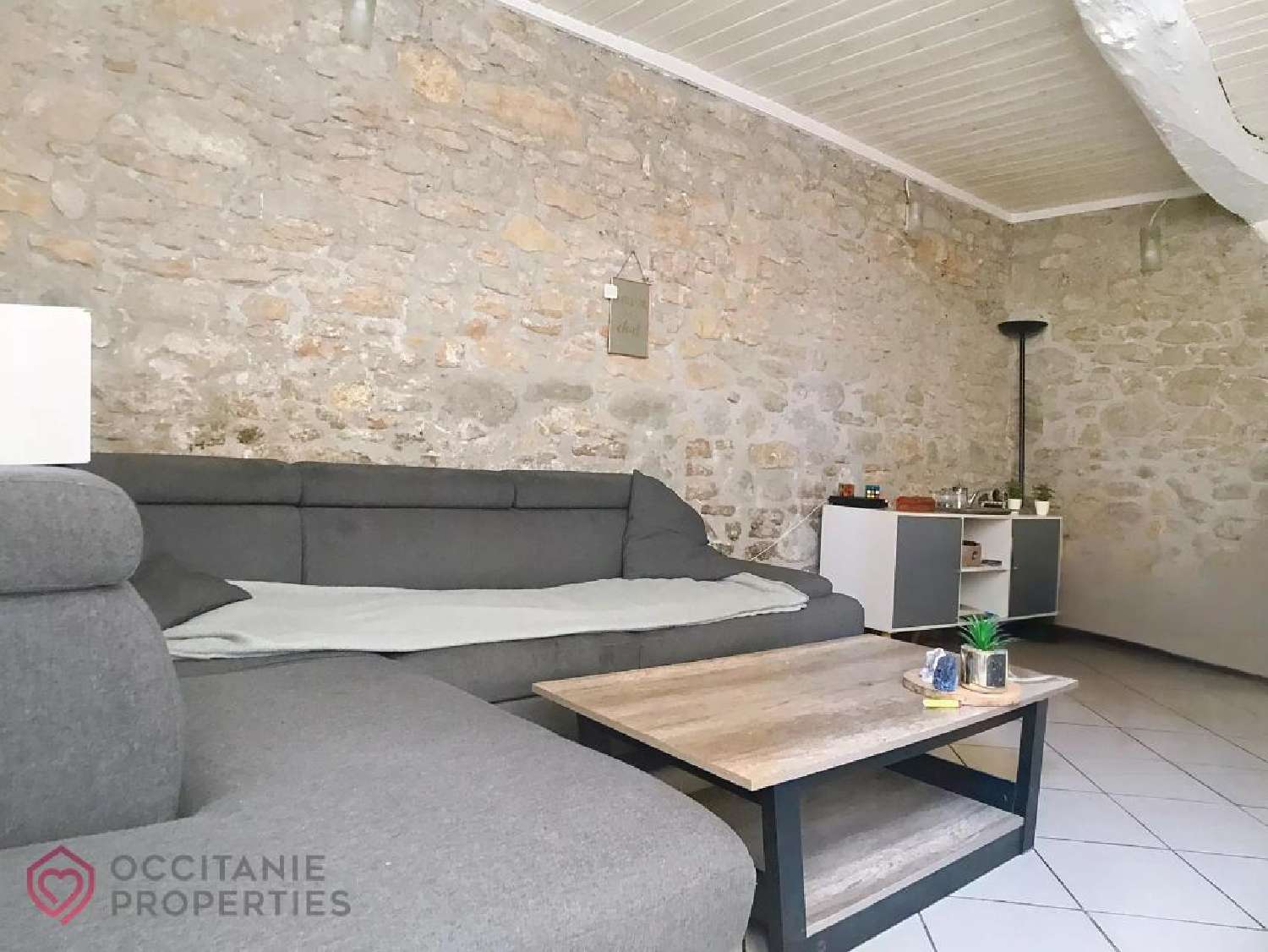  te koop huis Villesequelande Aude 3