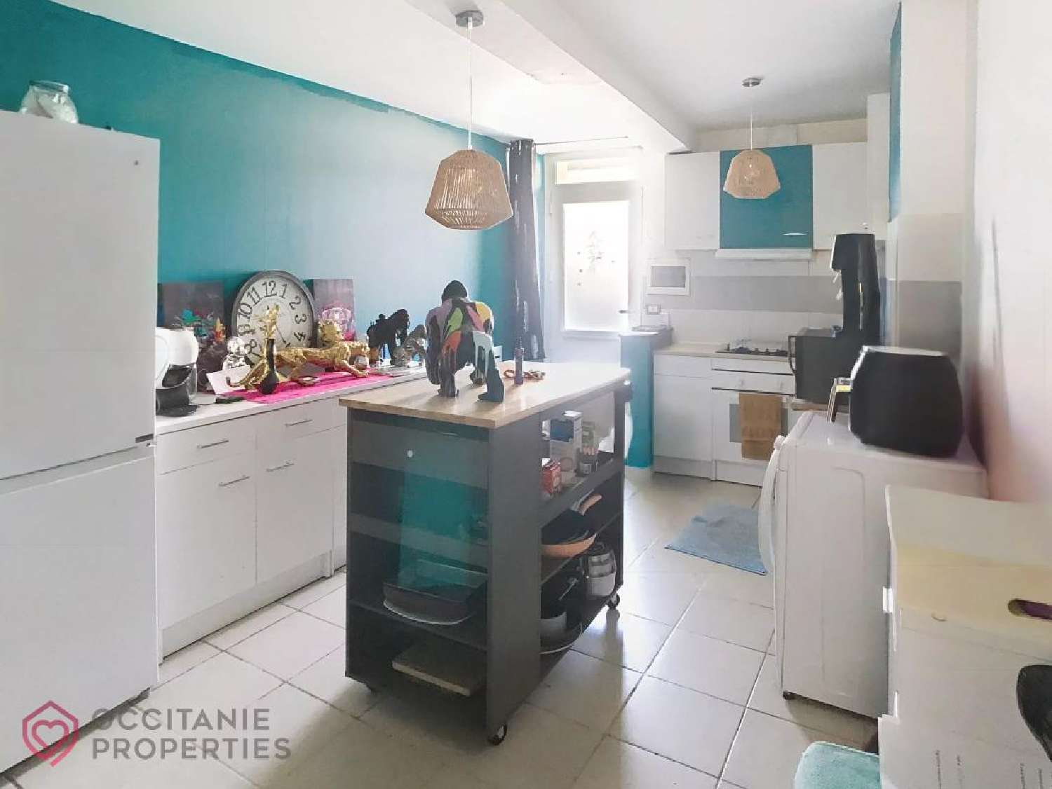  te koop huis Villesequelande Aude 5