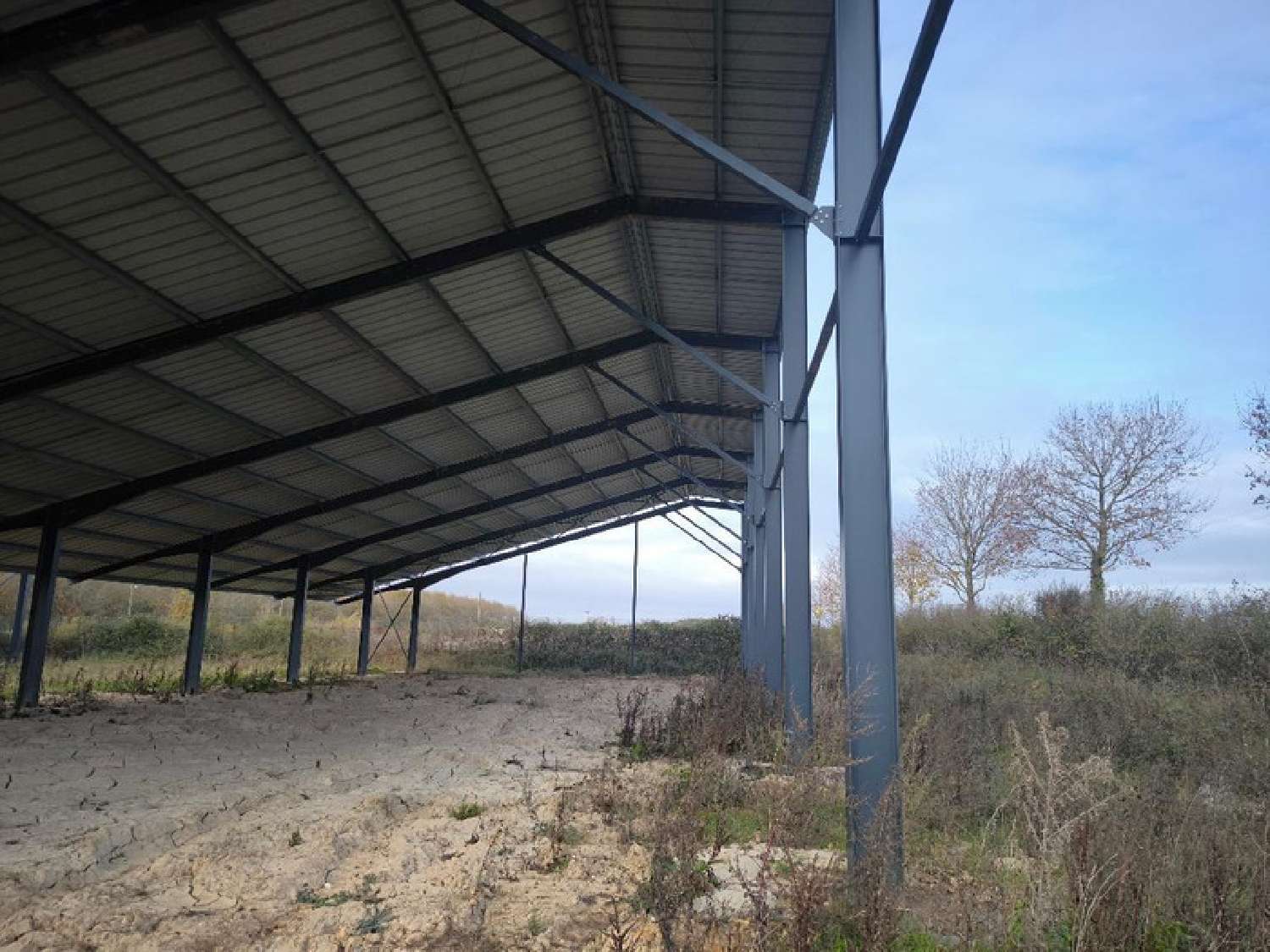  kaufen Haus Vion Sarthe 4