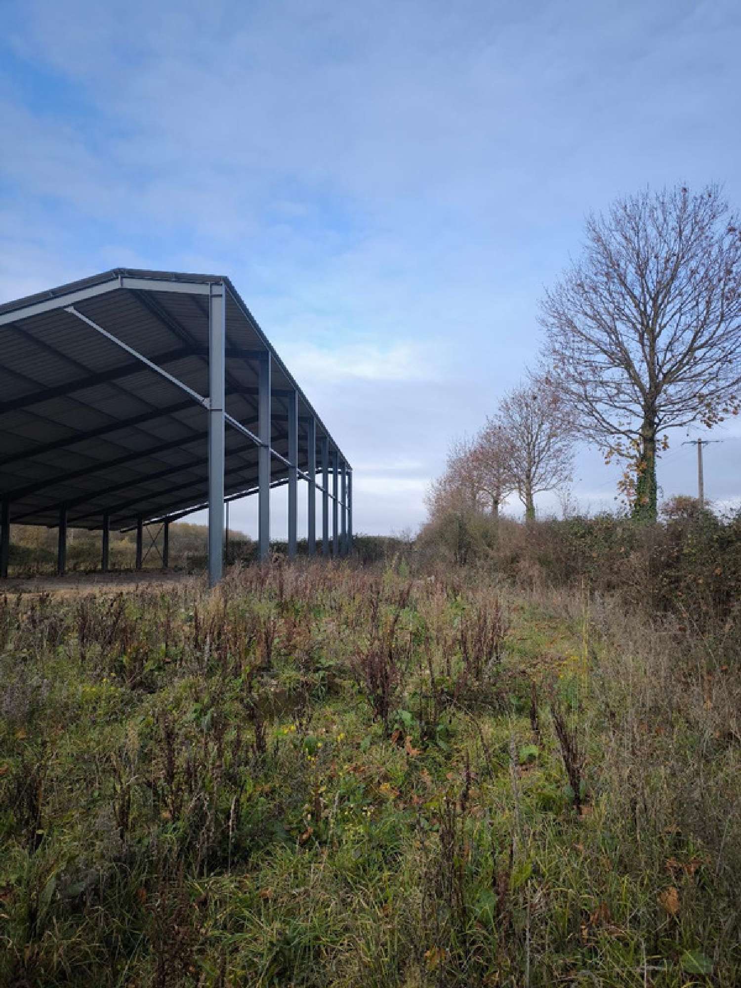  kaufen Haus Vion Sarthe 5