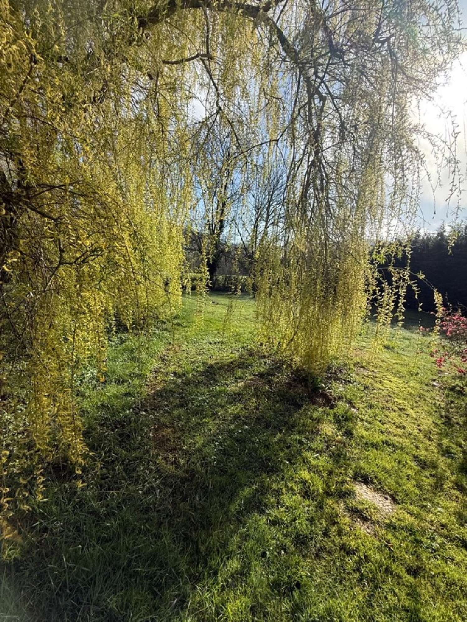  for sale house Vitteaux Côte-d'Or 3