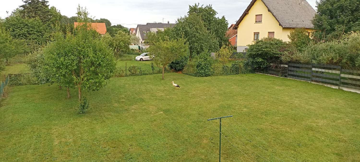  for sale house Weyersheim Bas-Rhin 6