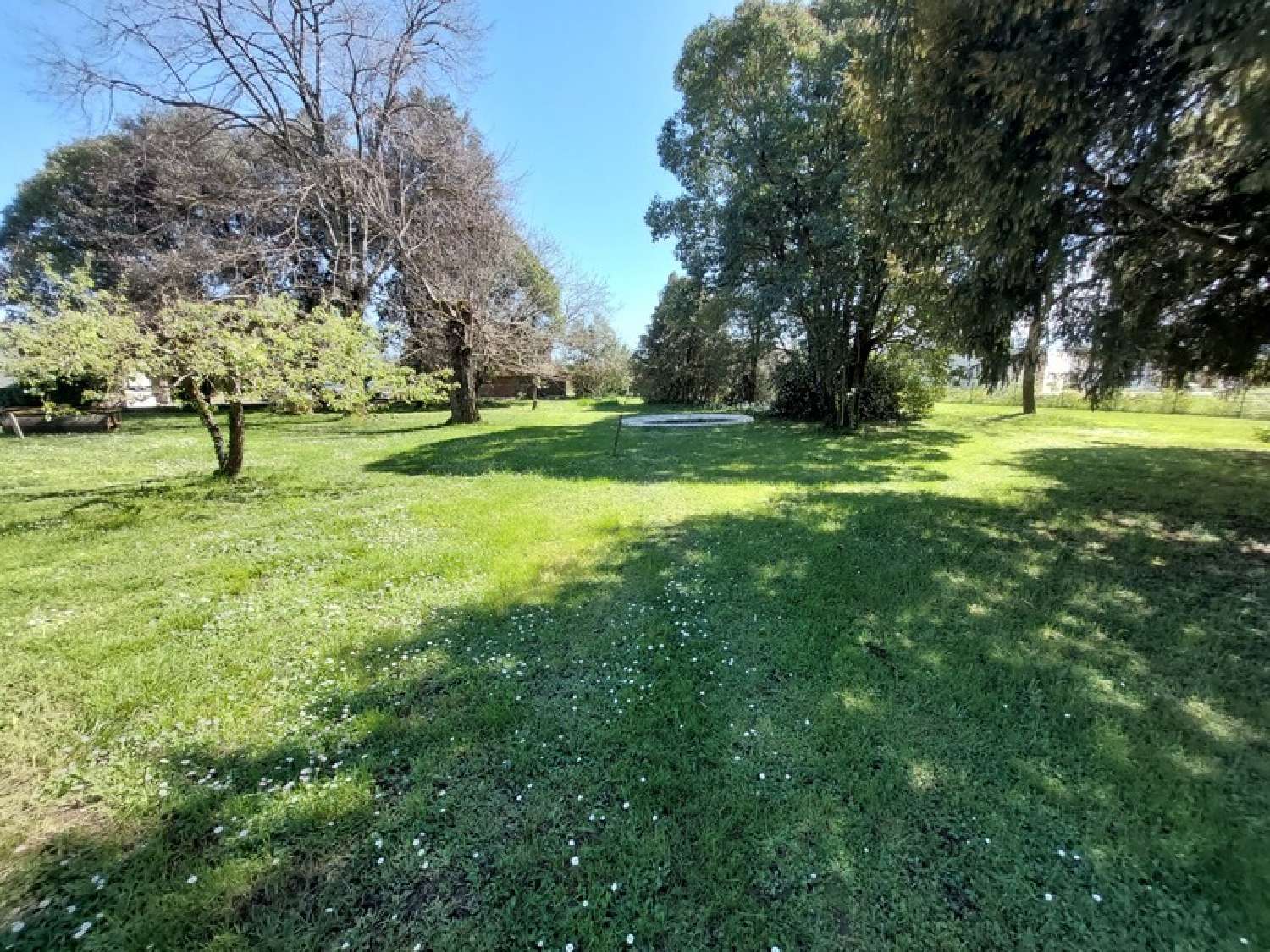  for sale mansion Albi Tarn 2