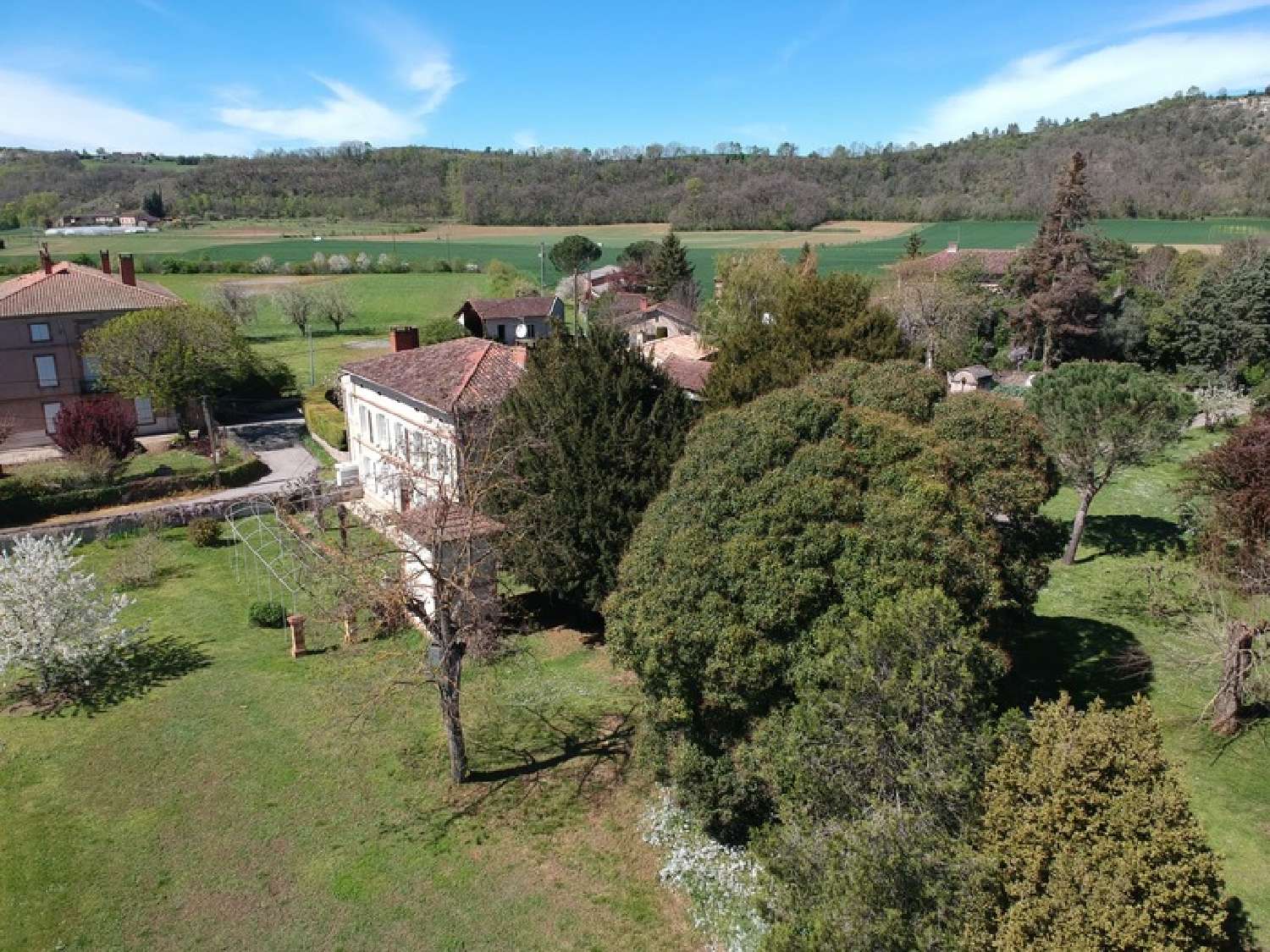  for sale mansion Albi Tarn 3