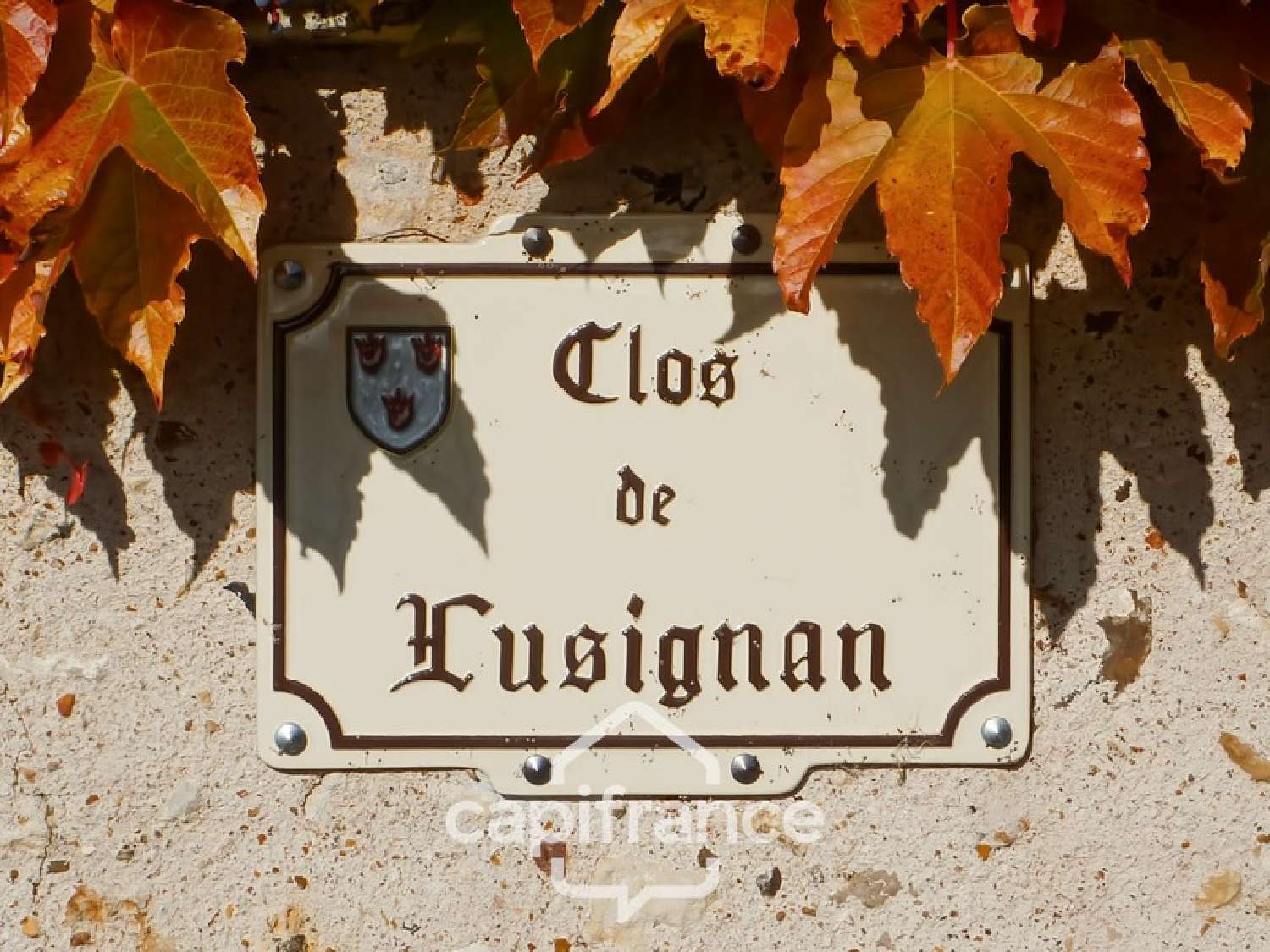  à vendre maison bourgeoise Trôo Loir-et-Cher 7