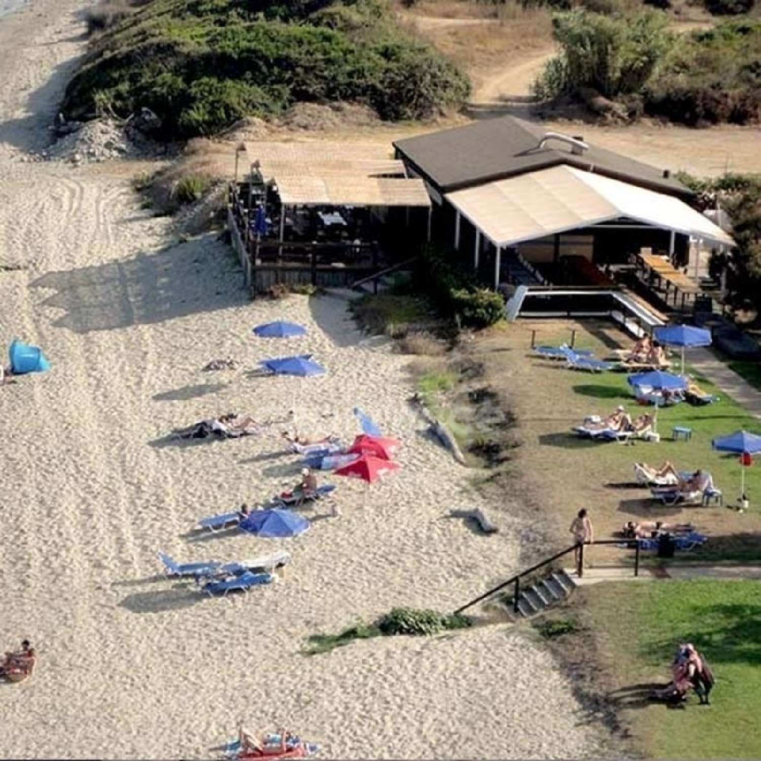 for sale restaurant Cervione Haute-Corse 4