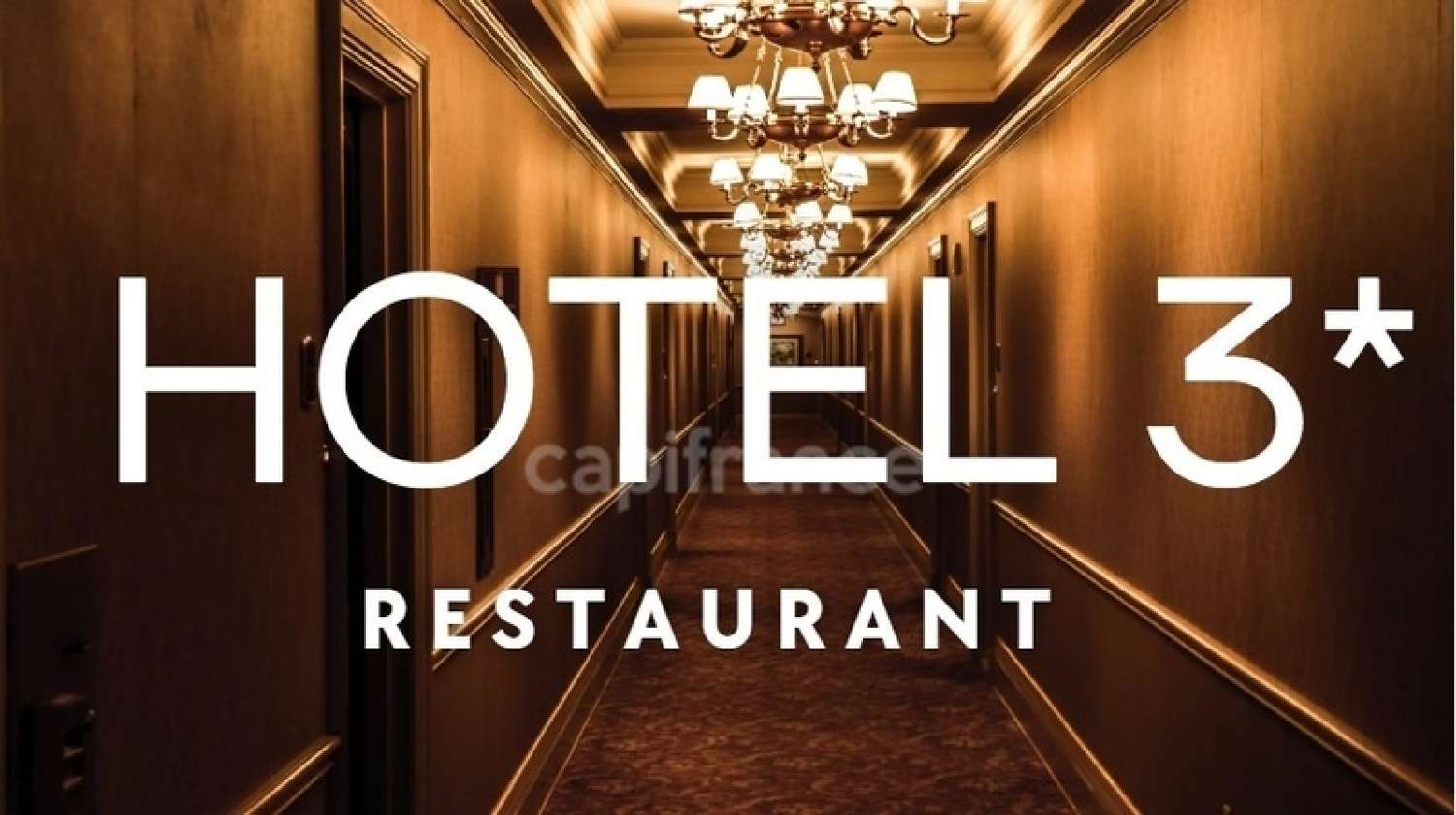  à vendre restaurant Lamotte-Beuvron Loir-et-Cher 1