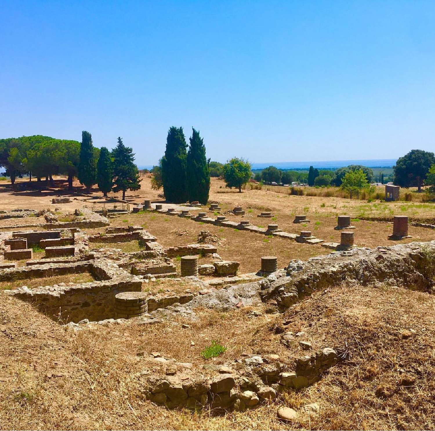  te koop terrein Aléria Haute-Corse 1