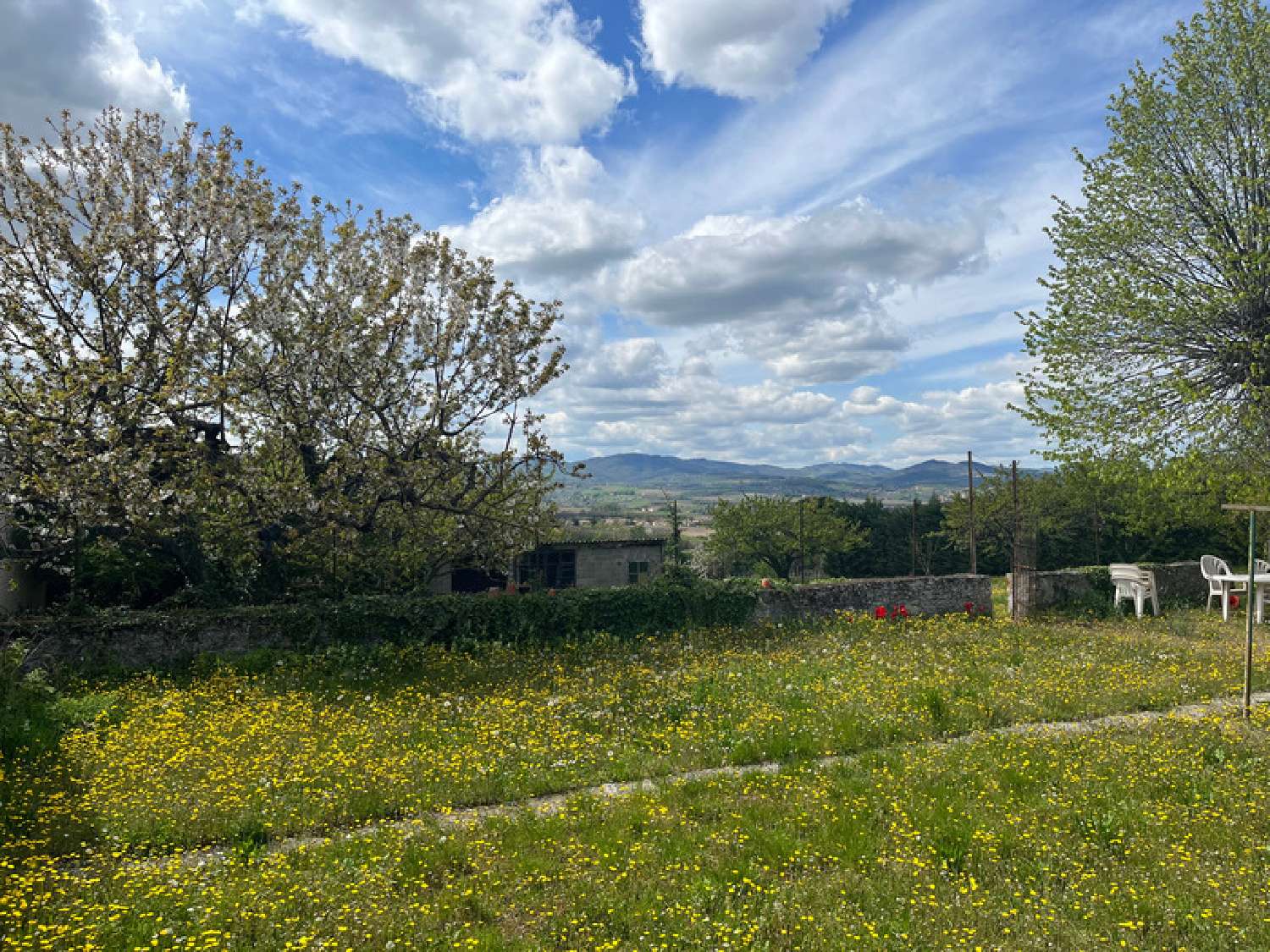 kaufen Grundstück Anse Rhône 1