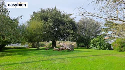 Arancou Pyrénées-Atlantiques terrein foto 7285138