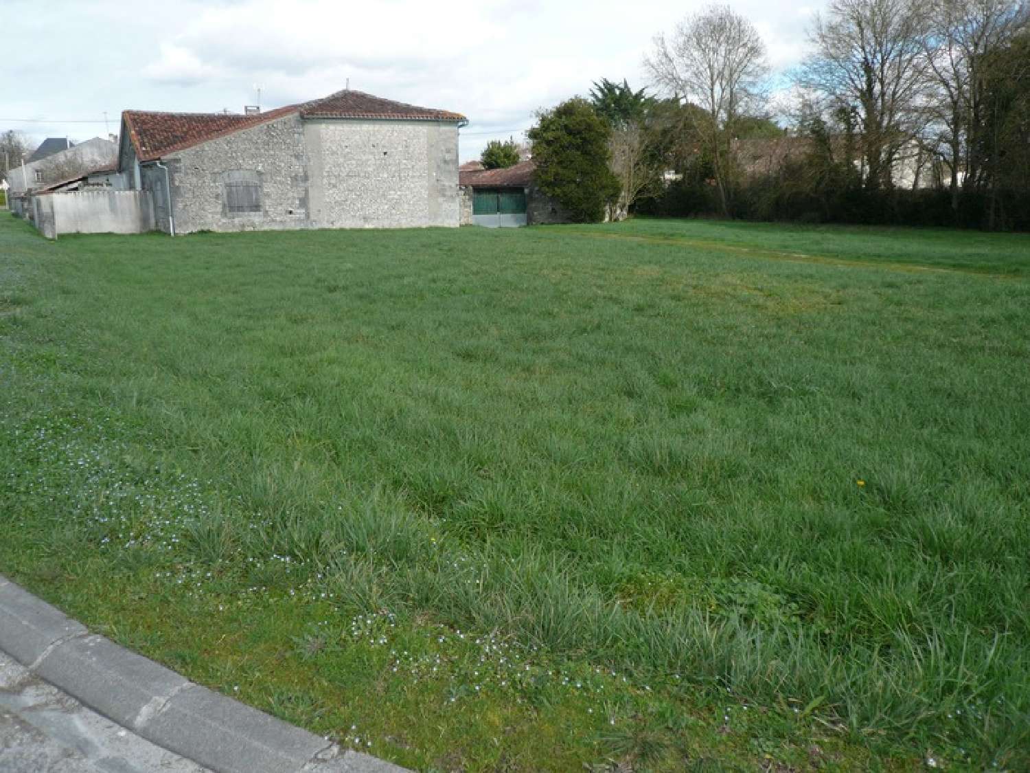  for sale terrain Ars Charente 1
