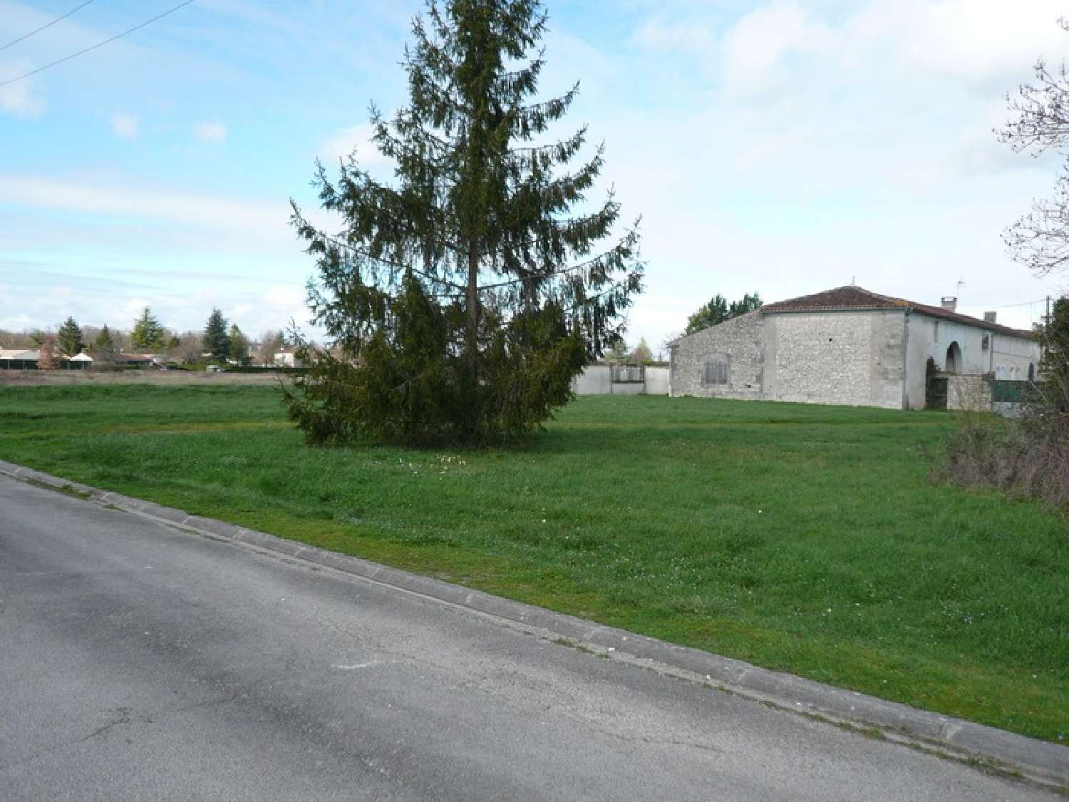  for sale terrain Ars Charente 3