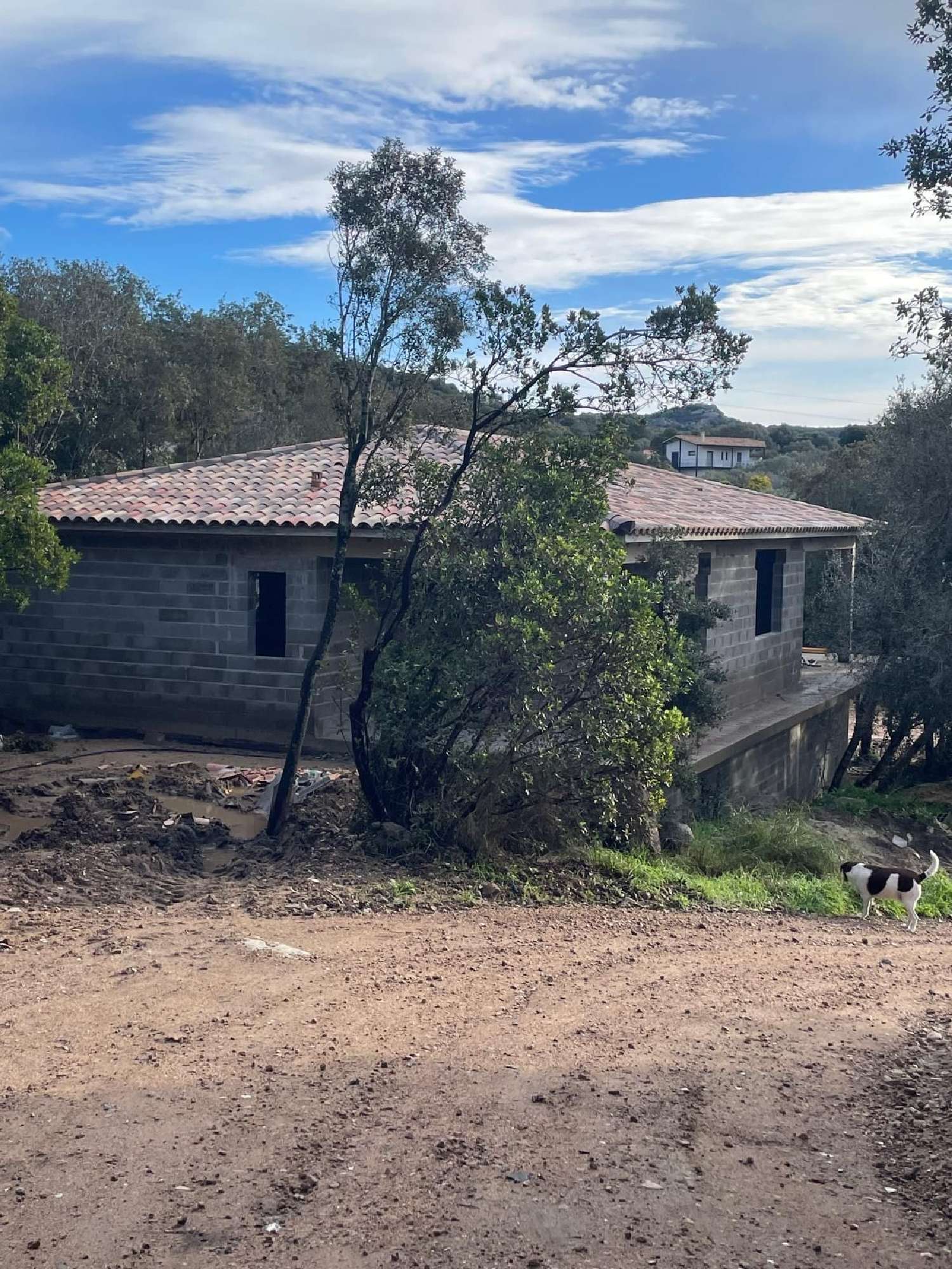  kaufen Grundstück Asco Haute-Corse 1