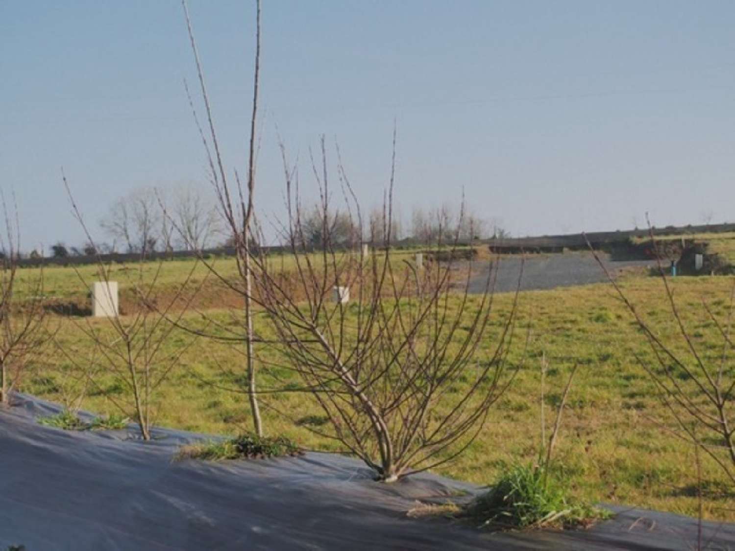  te koop terrein Aunay-sur-Odon Calvados 1