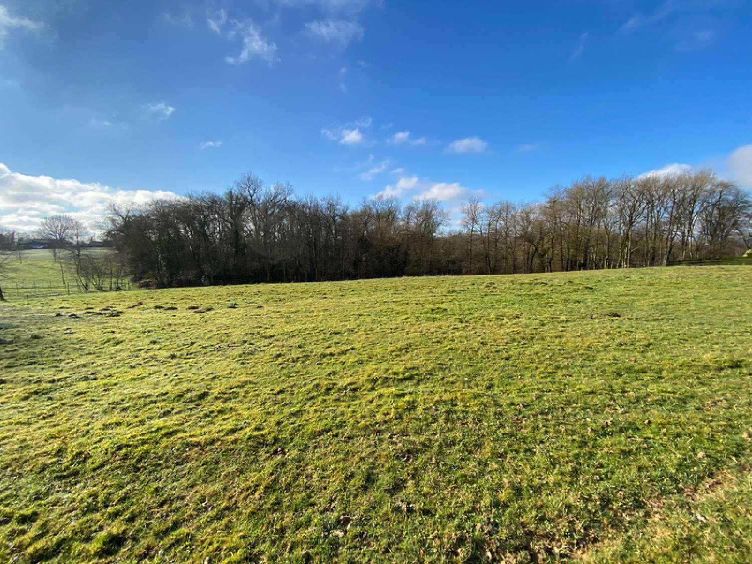  à vendre terrain Barcelonne-du-Gers Gers 4