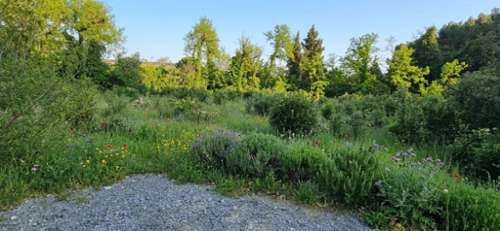 Bédarrides Vaucluse terrein foto 7292395