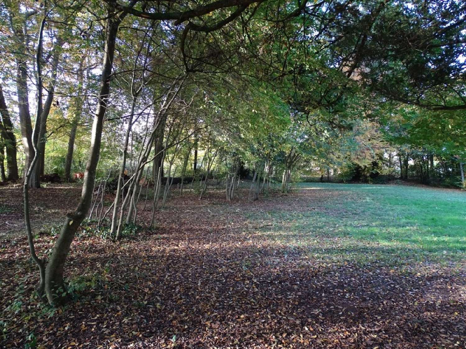  kaufen Grundstück Bergerac Dordogne 5