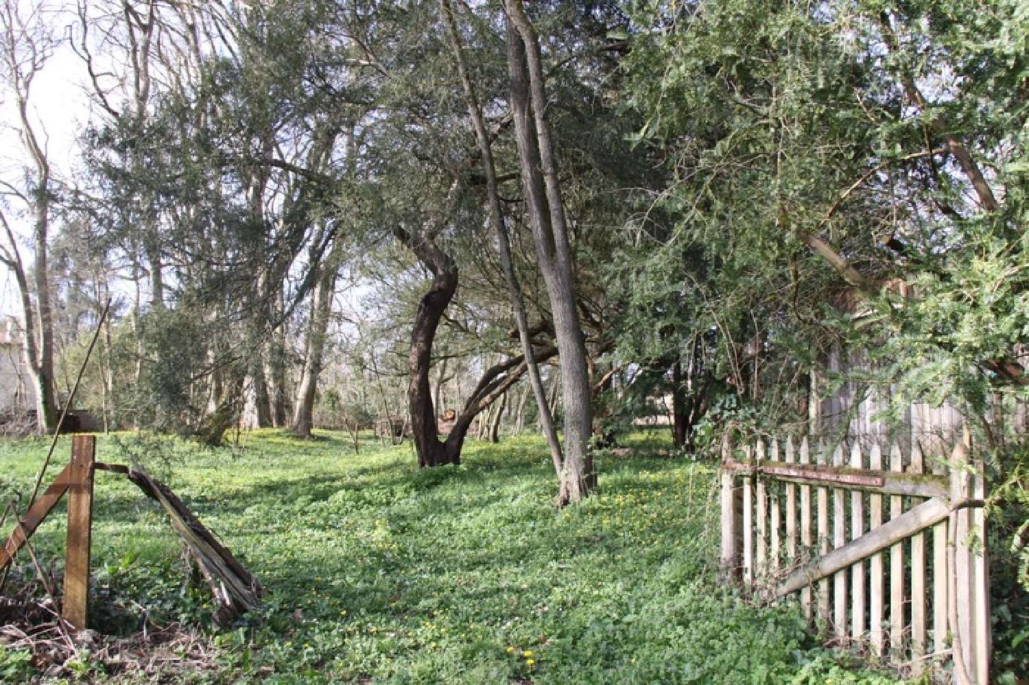  kaufen Grundstück Bergerac Dordogne 6