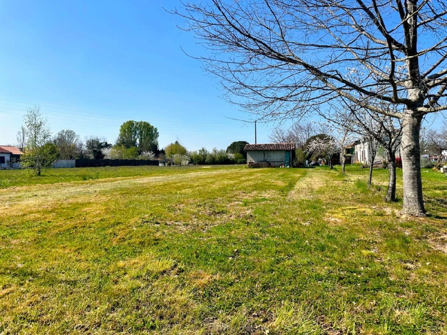  for sale terrain Bessières Haute-Garonne 1