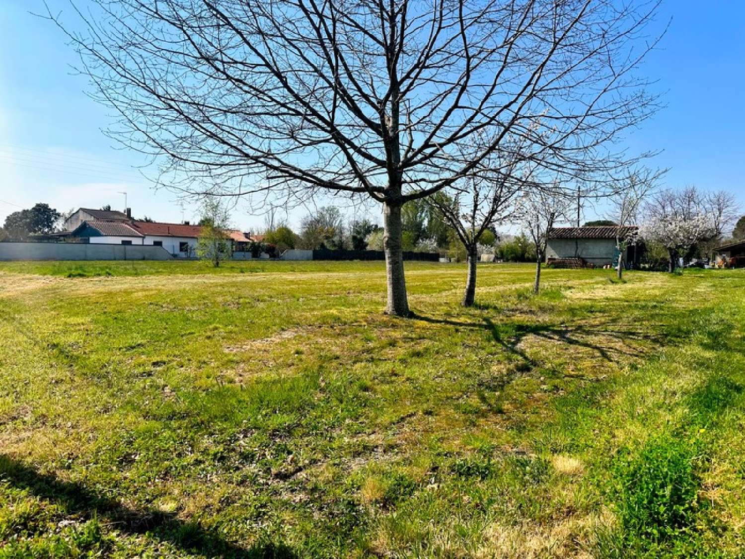 for sale terrain Bessières Haute-Garonne 2